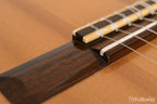 1974 Larrivee Classical