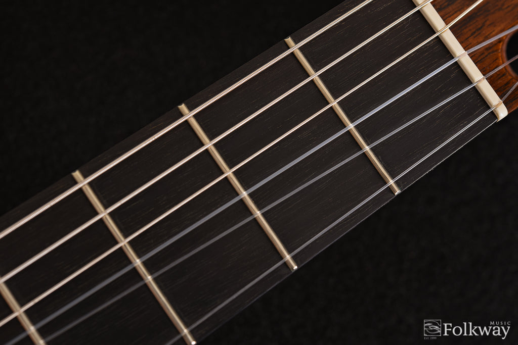 1974 Larrivee Classical