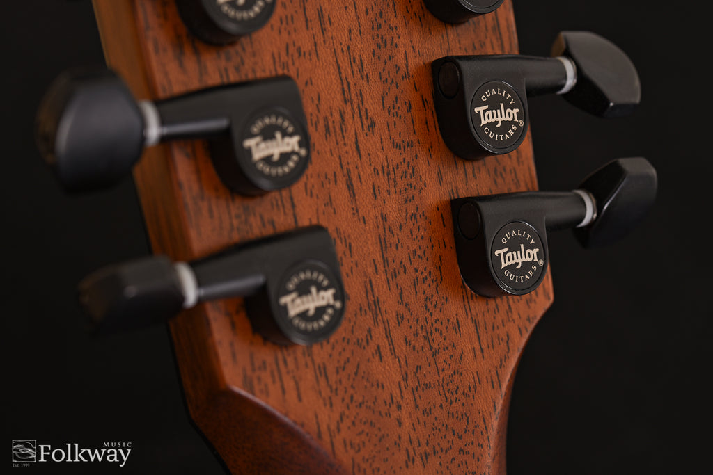 2020 Taylor 362ce