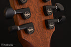 2020 Taylor 362ce