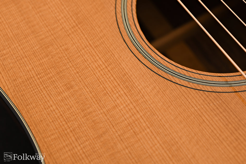 1966 Martin D-21