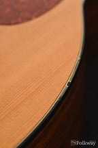 2002 Santa Cruz OM/PW