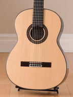 Asturias Standard Spruce