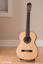 Asturias Standard Spruce