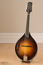 Collings MT2 SB
