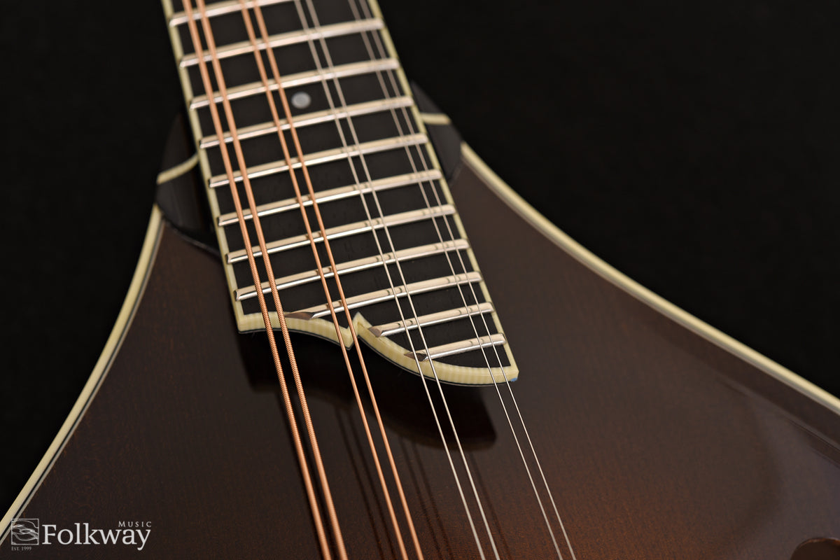 Collings MT2 SB