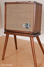 Taylor Circa 74 Acoustic Amplifier