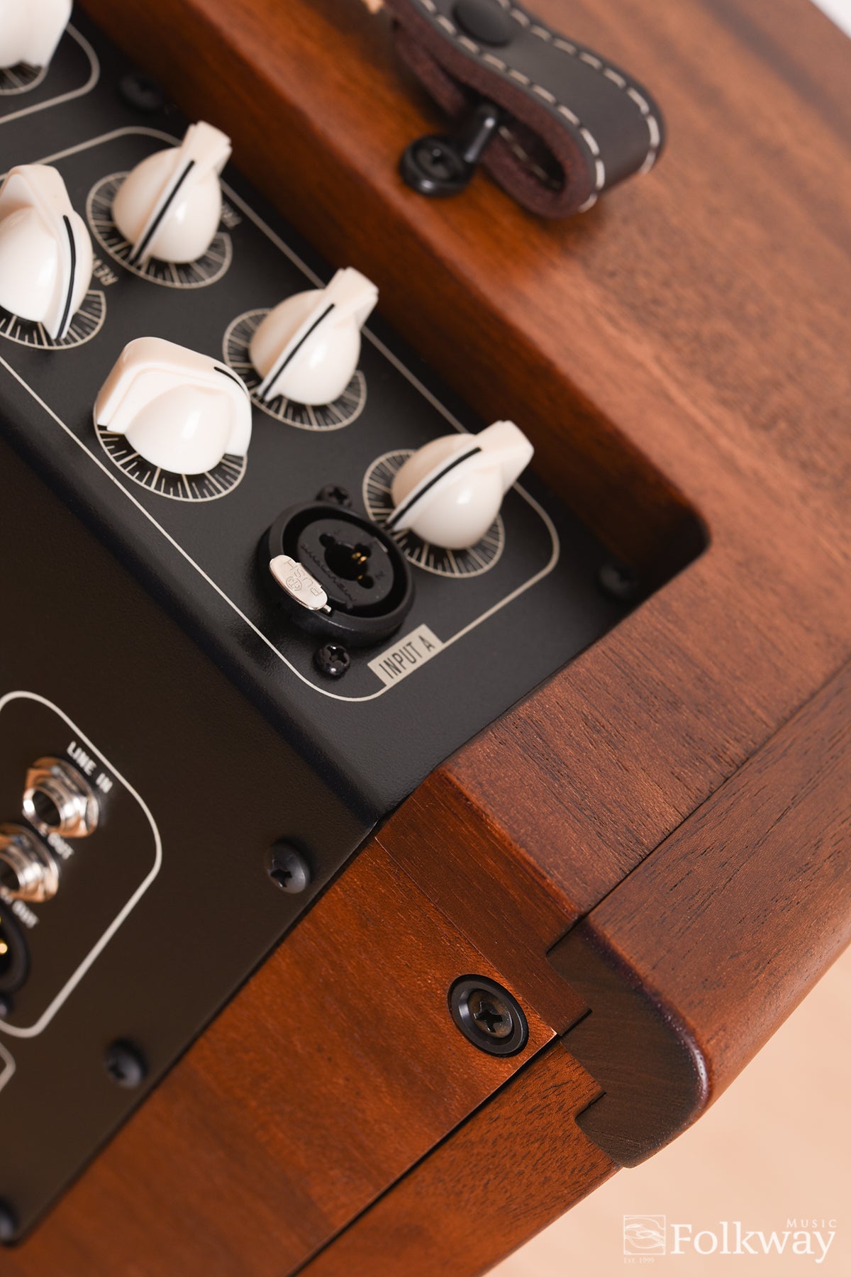 Taylor Circa 74 Acoustic Amplifier