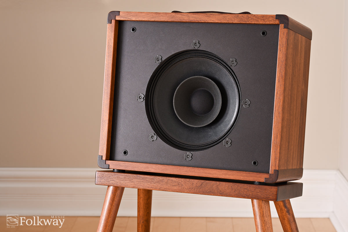 Taylor Circa 74 Acoustic Amplifier