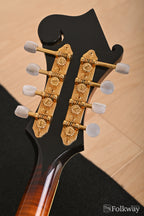 2003 Capek F5 Professional