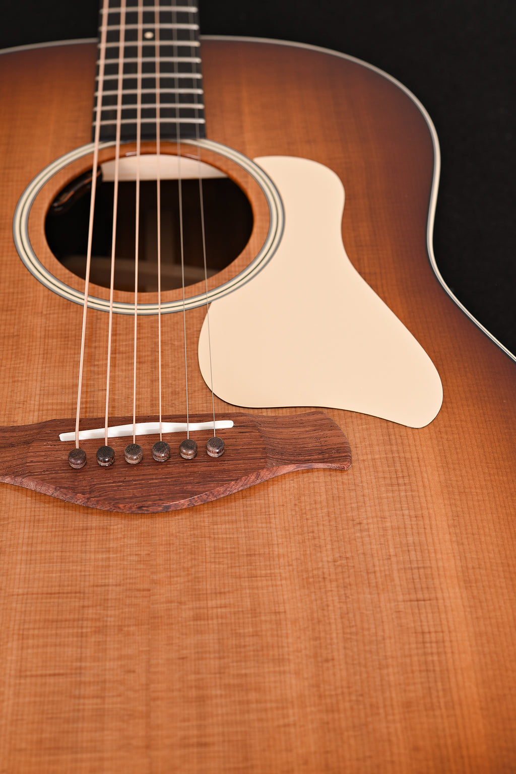 Taylor Gold Label 517e SB