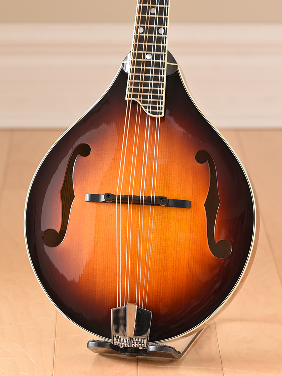 Eastman MD505-CS