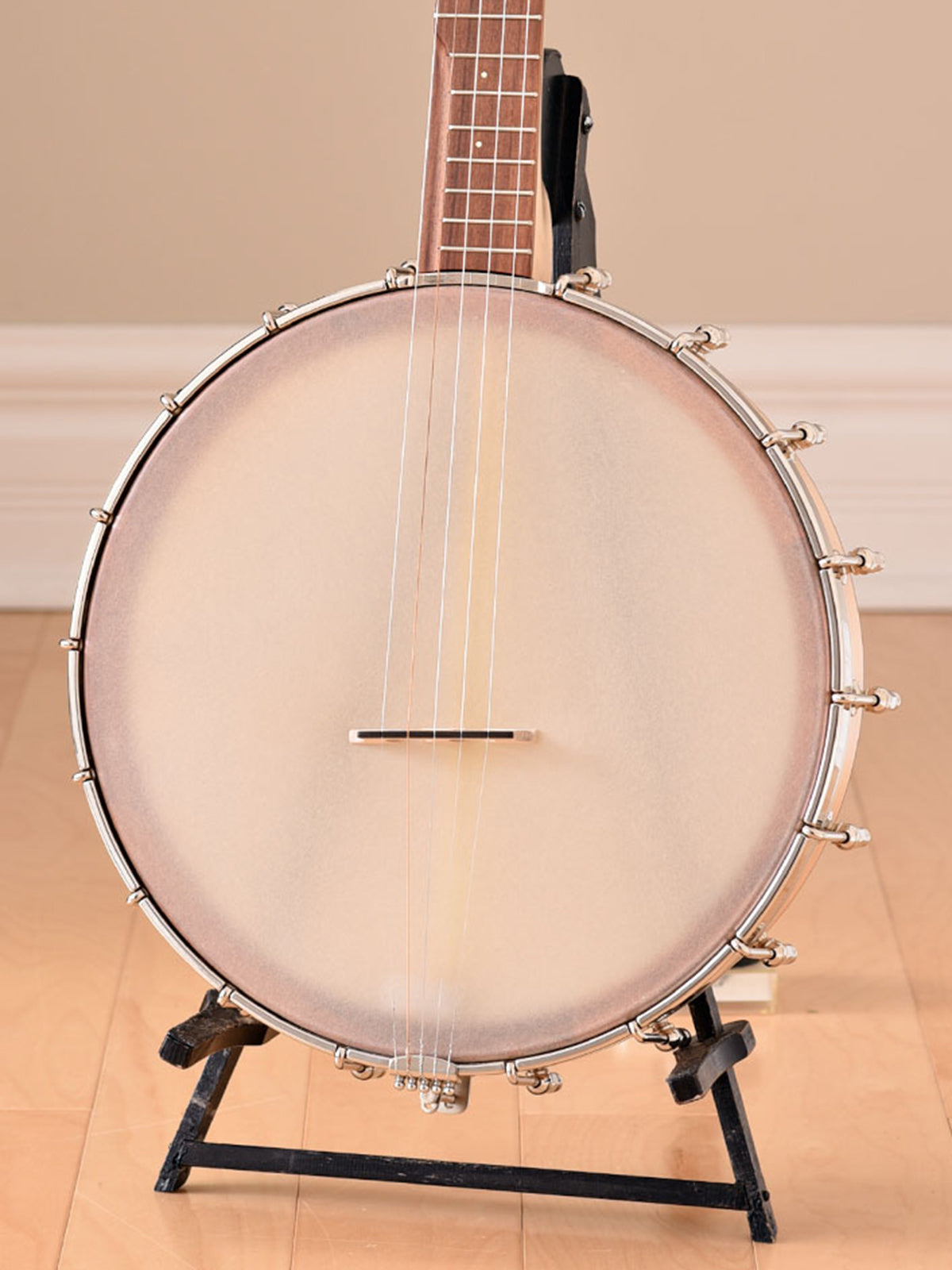 Ian Pattison Folkway Custom 12" Open Back