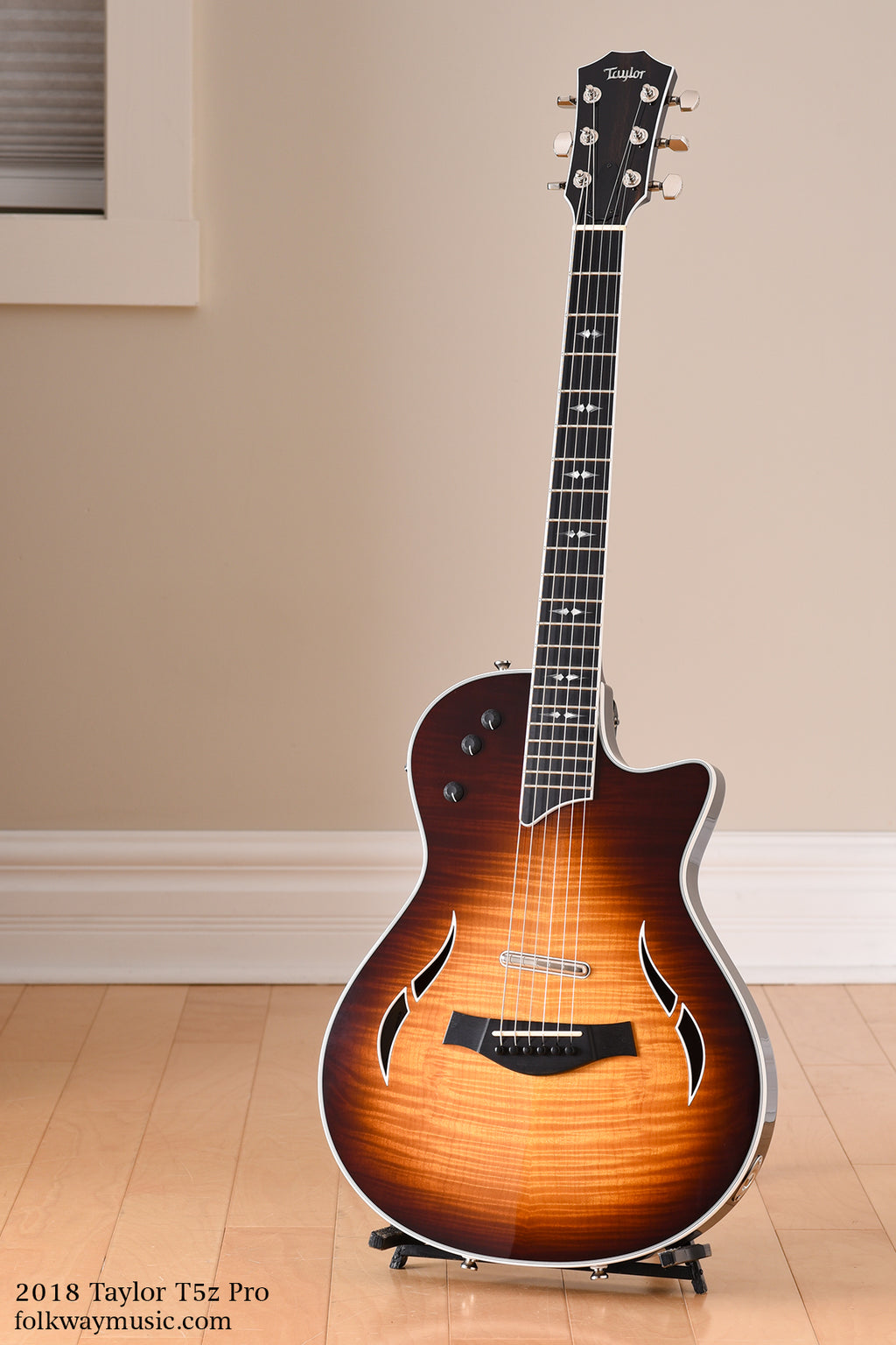 2018 Taylor T5z Pro