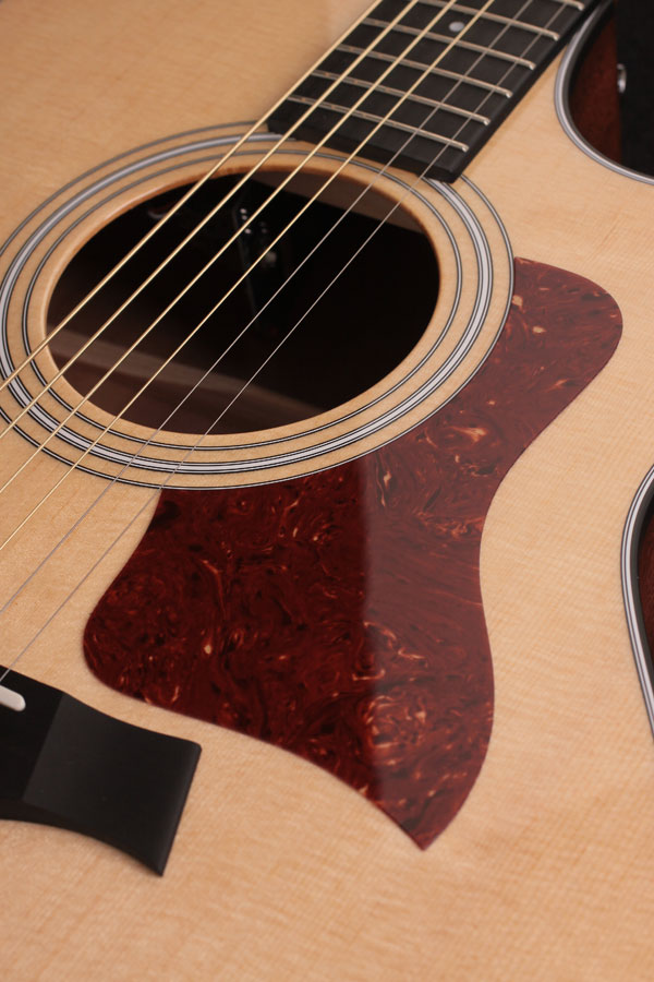 Taylor 316ce