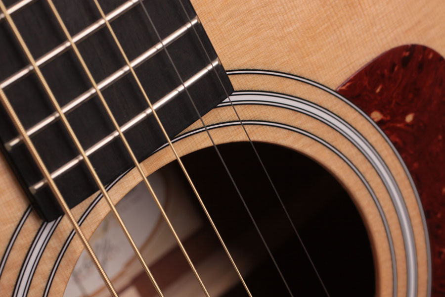 Taylor 316ce