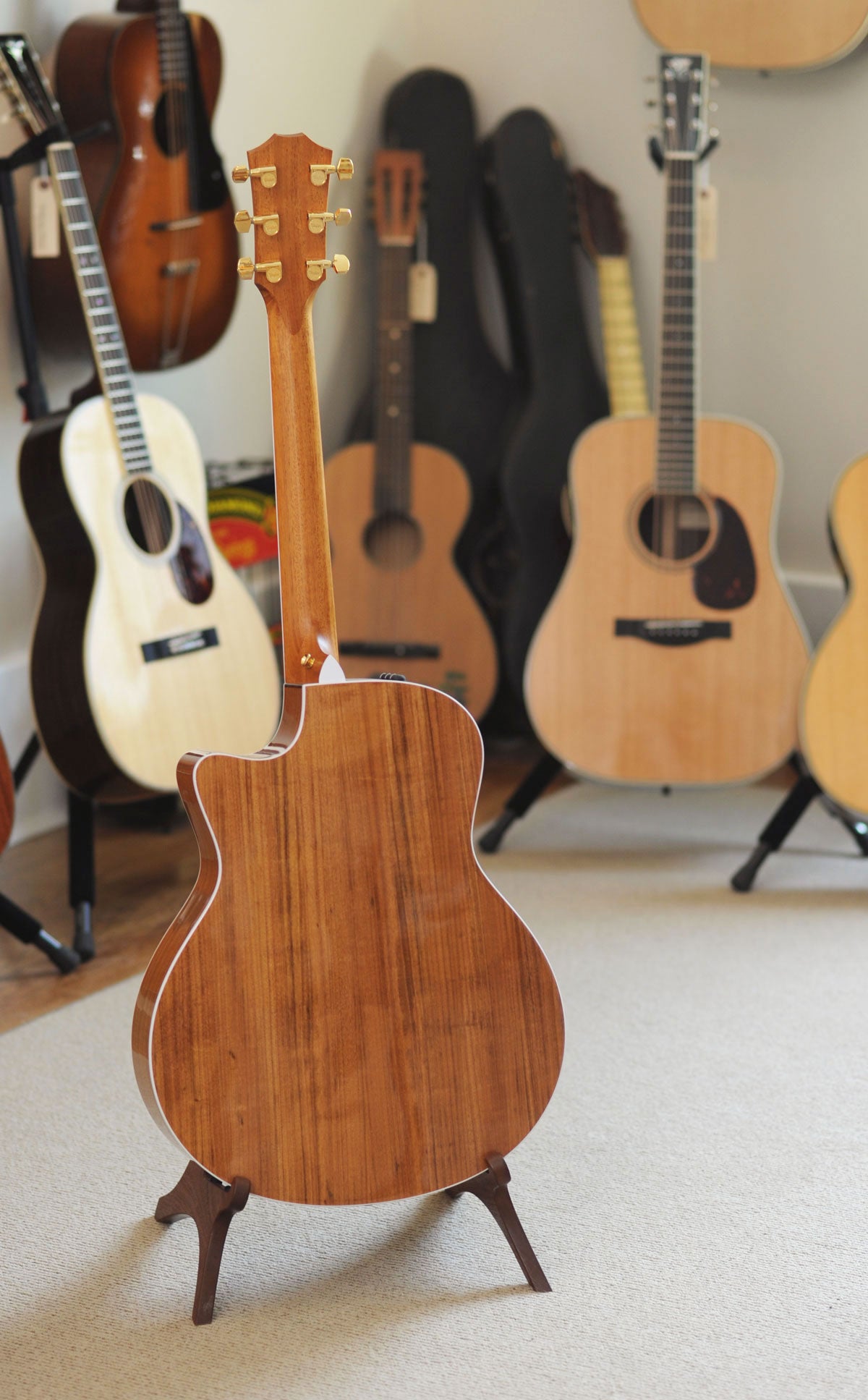 Taylor 416ce Spring Limited