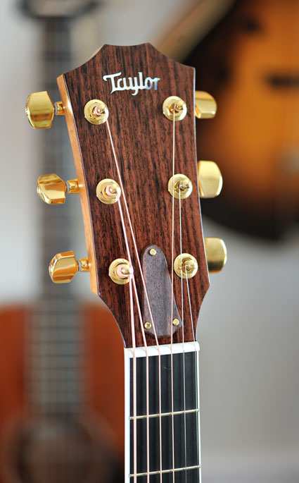 Taylor 416ce Spring Limited