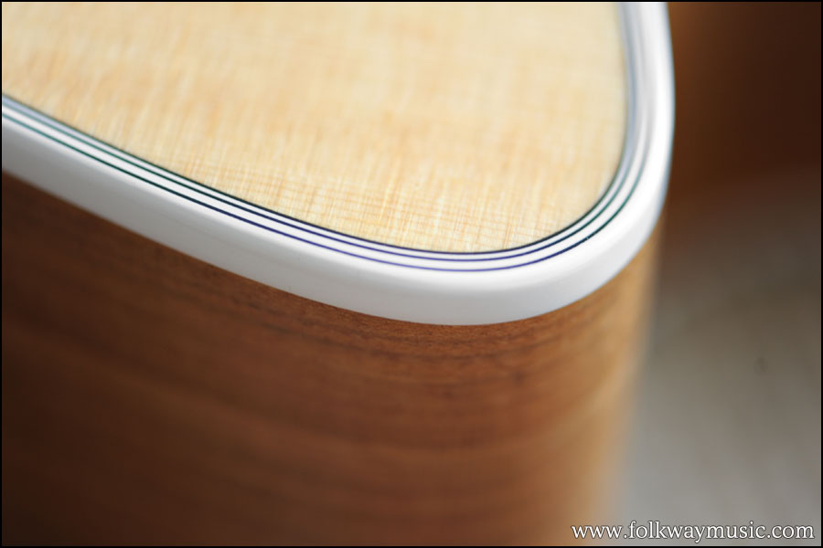 Taylor 416ce Spring Limited