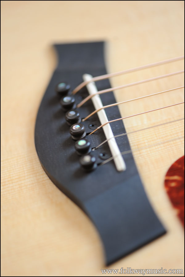 Taylor 416ce Spring Limited