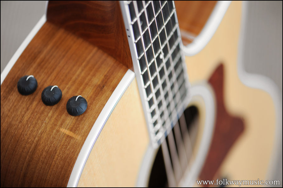 Taylor 416ce Spring Limited