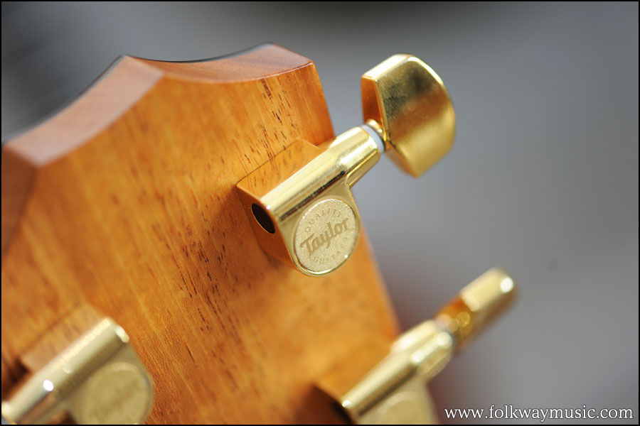 Taylor 416ce Spring Limited