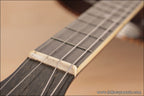 1927 Washburn Dansant Style 5177 Tenor Banjo