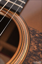2016 Taylor 710e