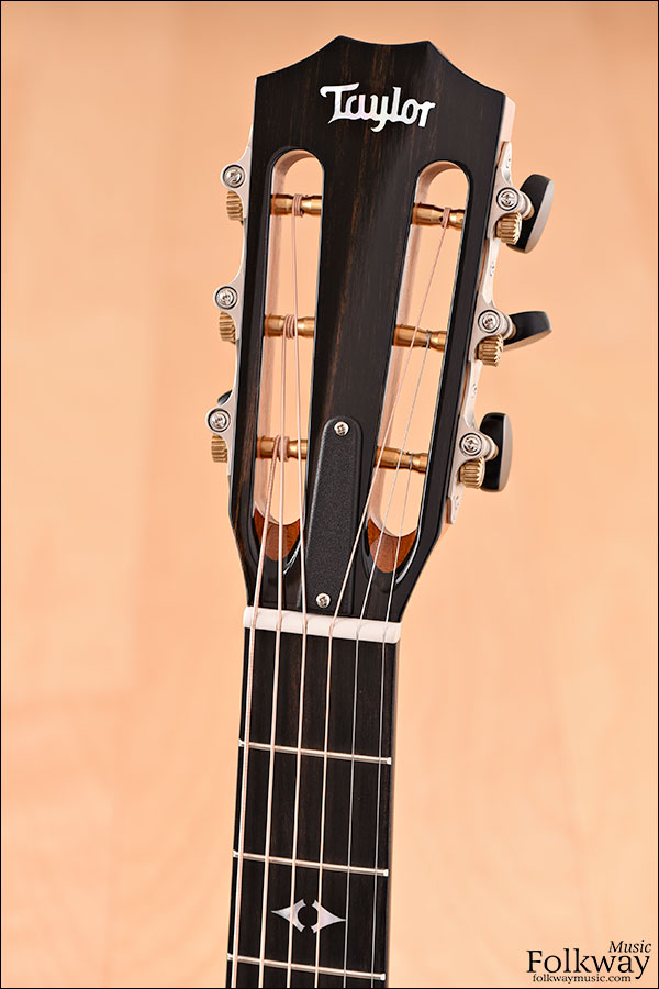 Taylor 712ce 12-Fret LTD Blackwood