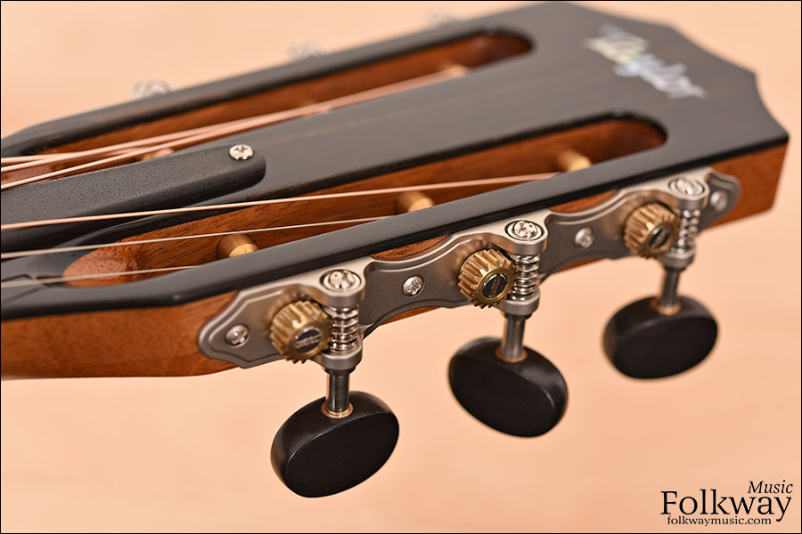 Taylor 712ce 12-Fret LTD Blackwood