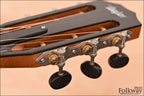 Taylor 712ce 12-Fret LTD Blackwood