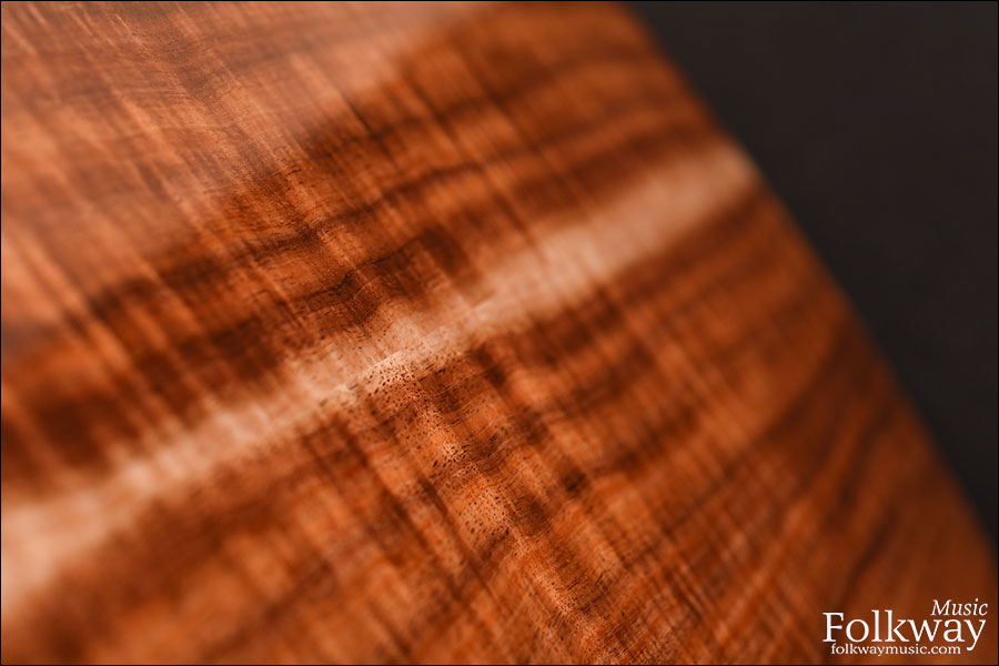 Taylor 712ce 12-Fret LTD Blackwood