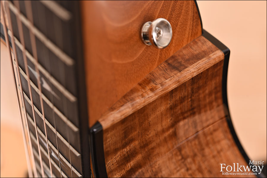 Taylor 712ce 12-Fret LTD Blackwood