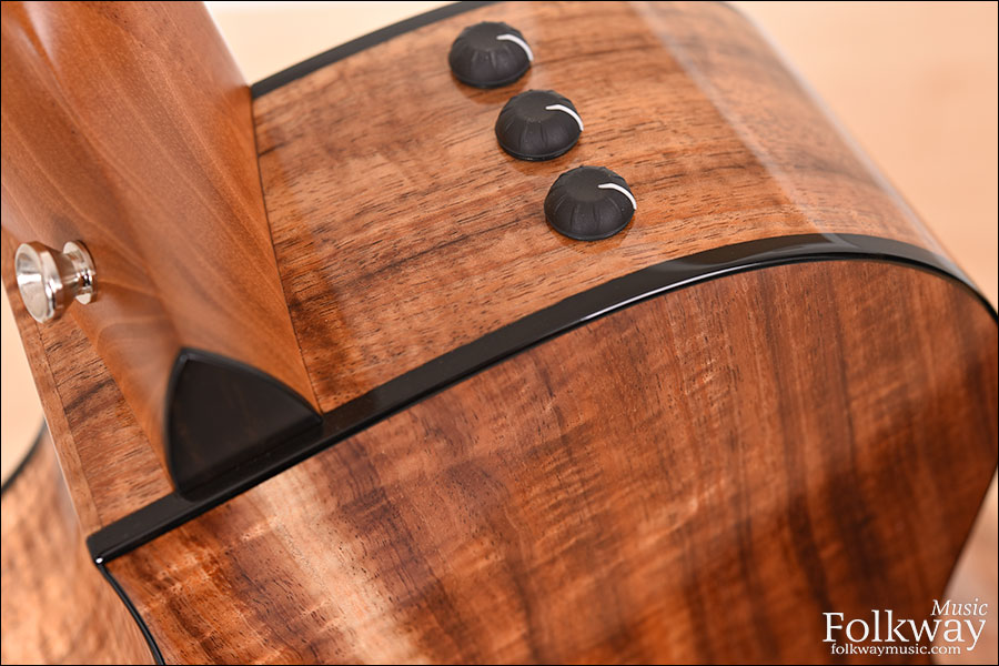 Taylor 712ce 12-Fret LTD Blackwood