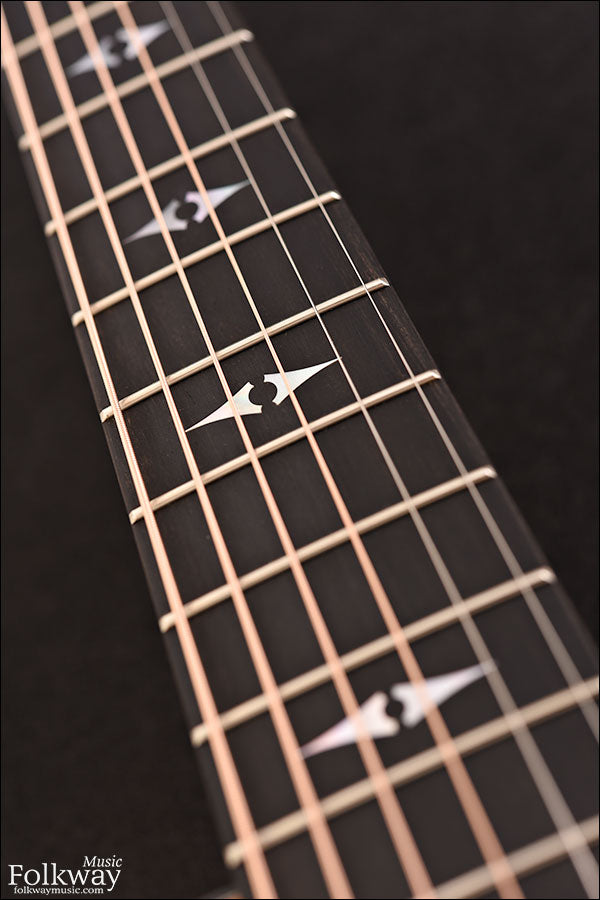Taylor 712ce 12-Fret LTD Blackwood