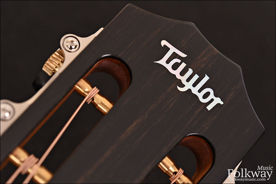 Taylor 712ce 12-Fret LTD Blackwood