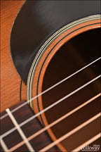 1977 Martin D-18 Shadetop