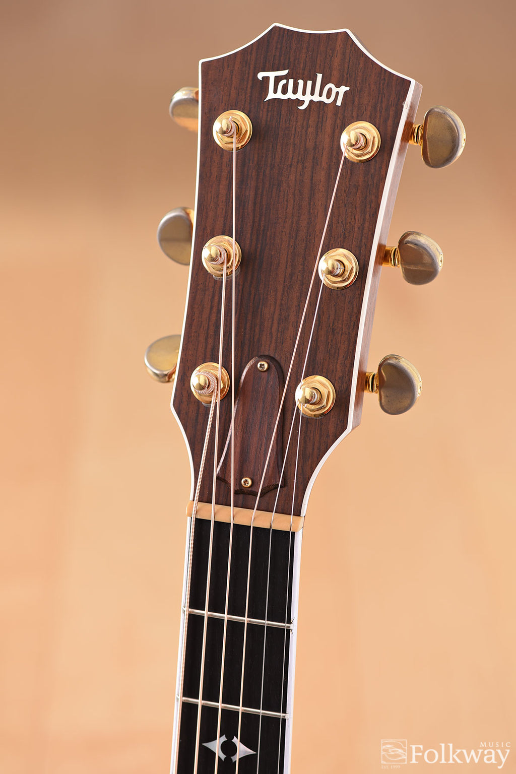 1996 Taylor 810