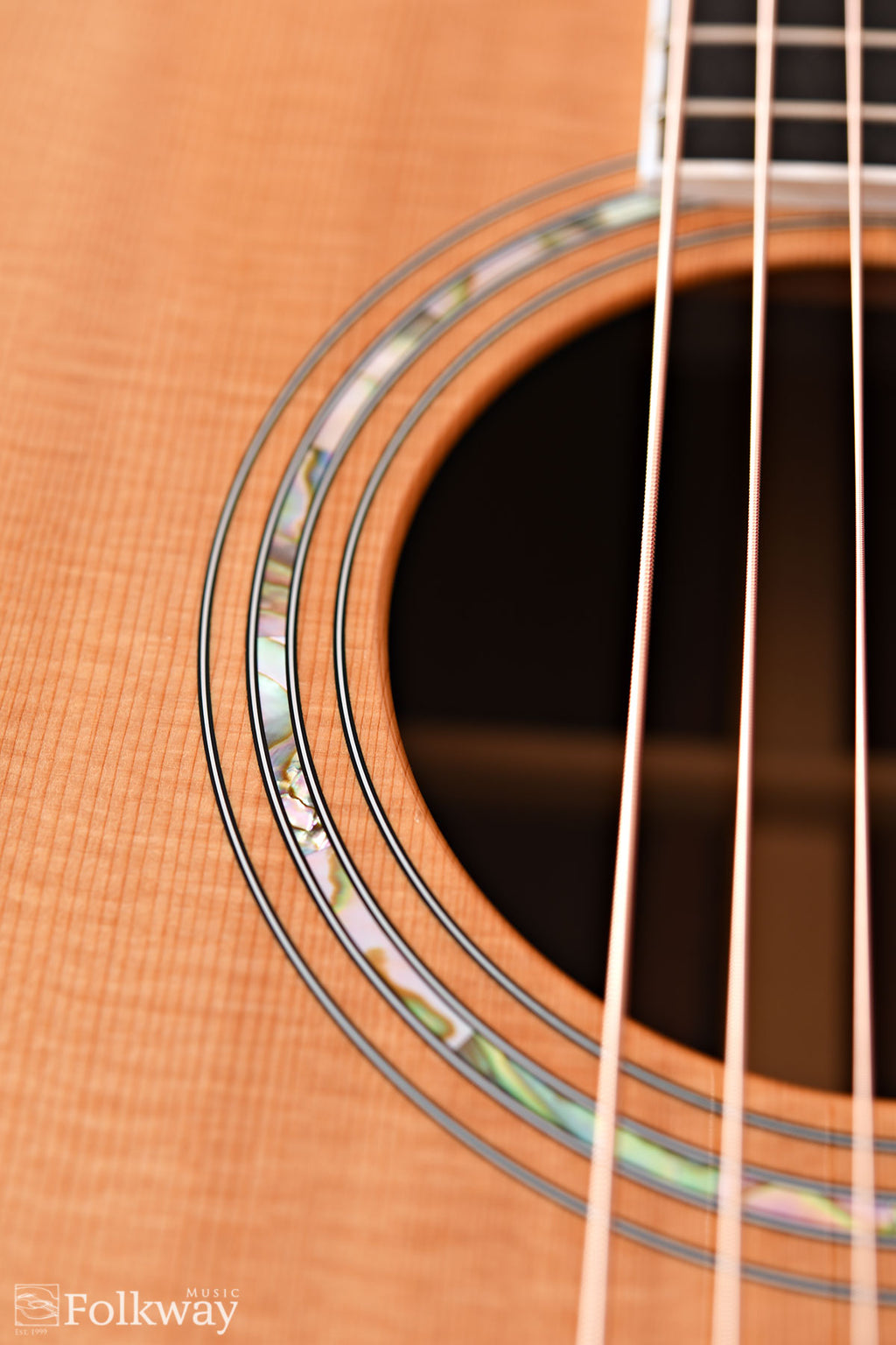 1996 Taylor 810