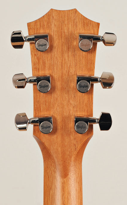 Taylor 818