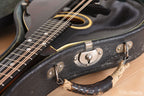 1924 Gibson A Snakehead