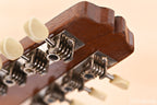 1924 Gibson A Snakehead