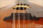1913 Gibson A-