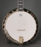 2007 Washburn B-17