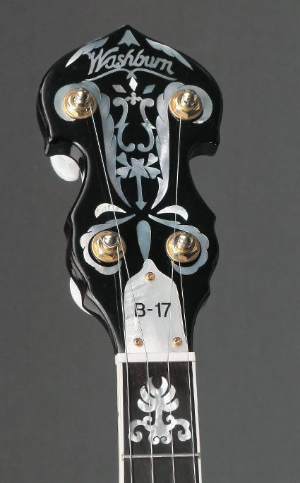 2007 Washburn B-17