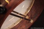 2007 Washburn B-17