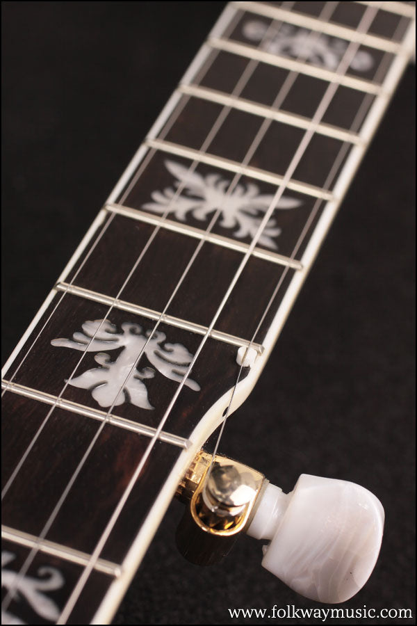 2007 Washburn B-17
