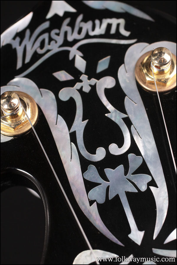 2007 Washburn B-17
