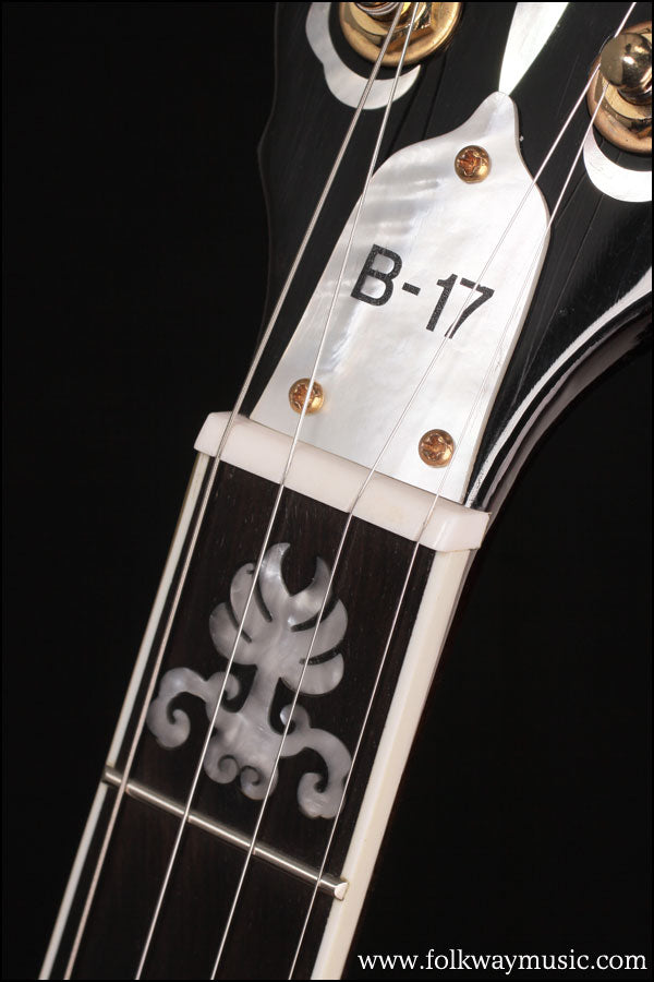 2007 Washburn B-17