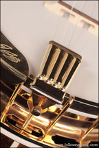 2007 Washburn B-17